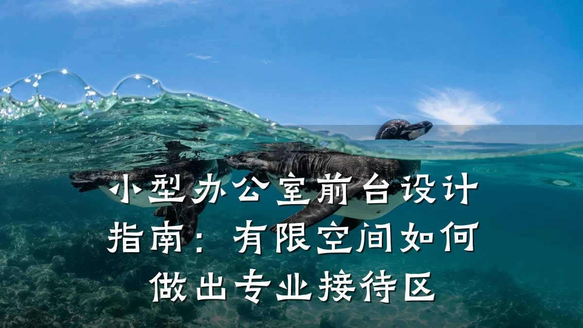 小型办公室前台设计指南:有限空间如何做出专业接待区