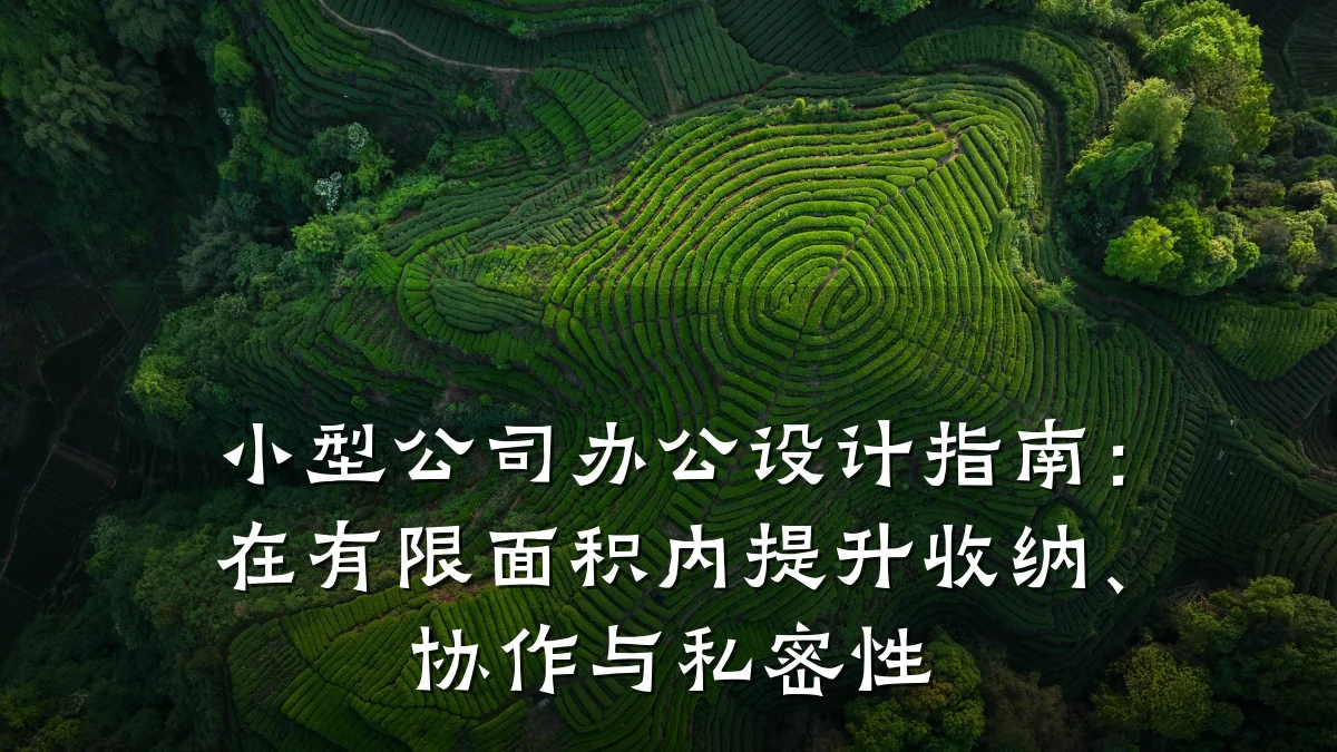 小型公司办公设计指南:在有限面积内提升收纳、协作与私密性