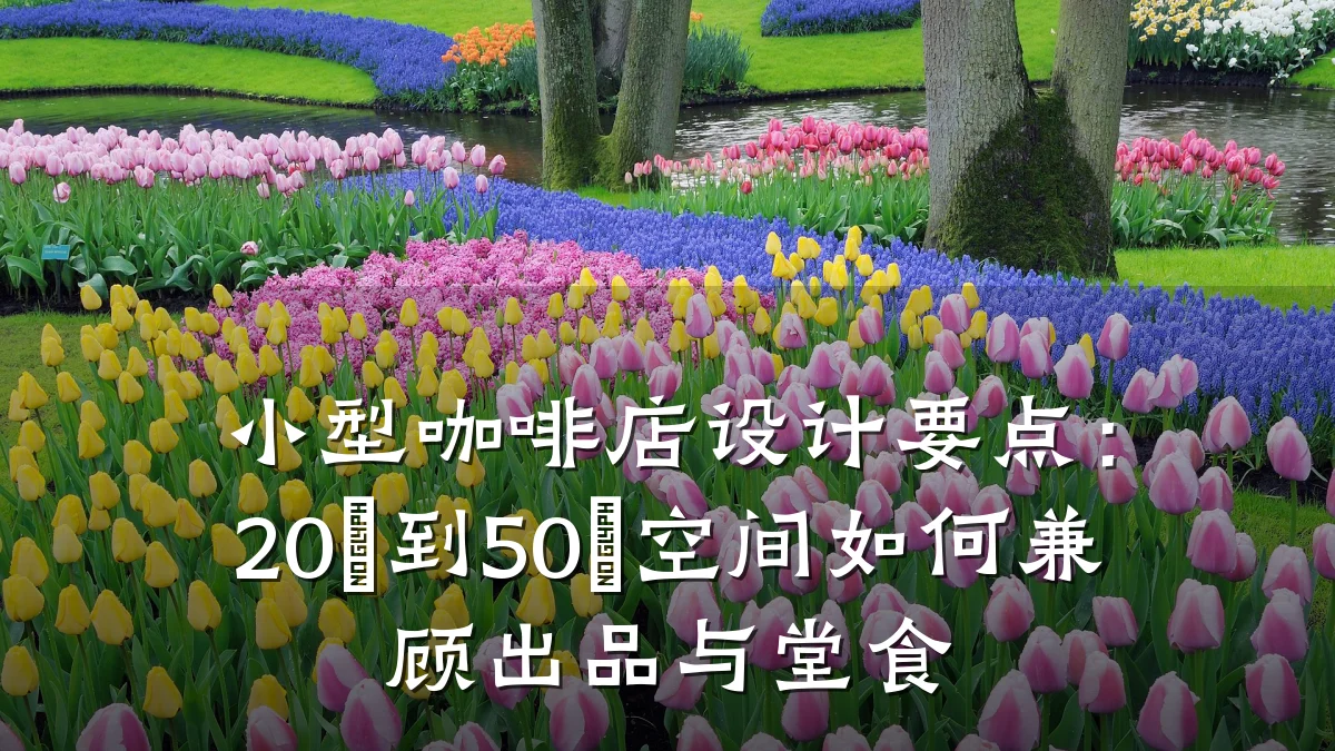 小型咖啡店设计要点:20㎡到50㎡空间如何兼顾出品与堂食