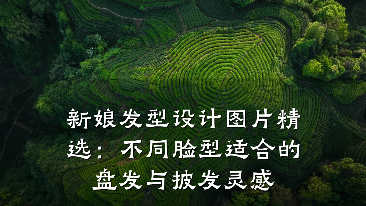 新娘发型设计图片精选:不同脸型适合的盘发与披发灵感