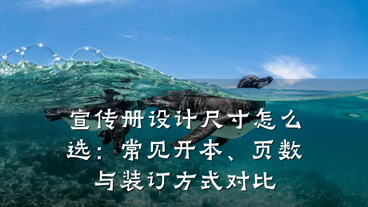 宣传册设计尺寸怎么选:常见开本、页数与装订方式对比