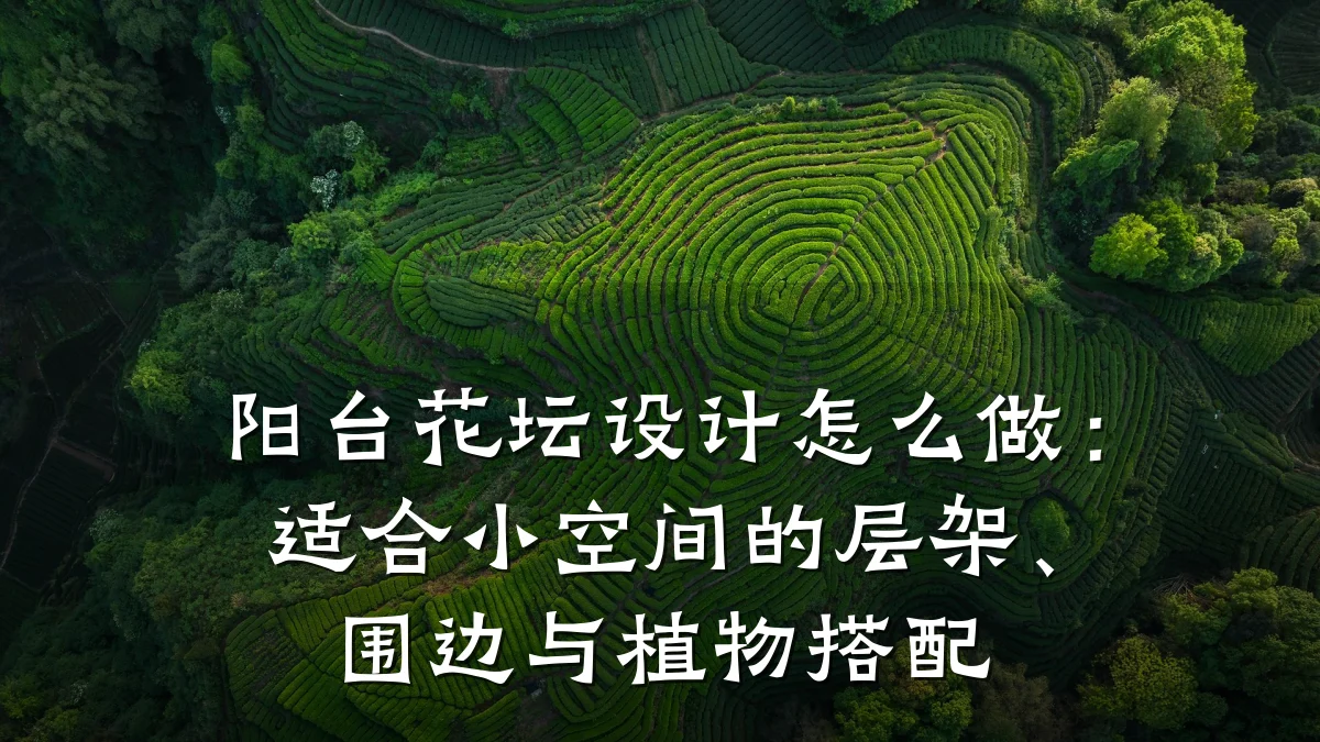 阳台花坛设计怎么做:适合小空间的层架、围边与植物搭配