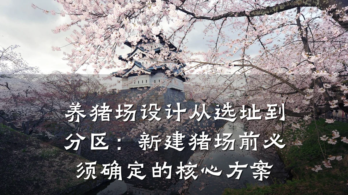 养猪场设计从选址到分区:新建猪场前必须确定的核心方案