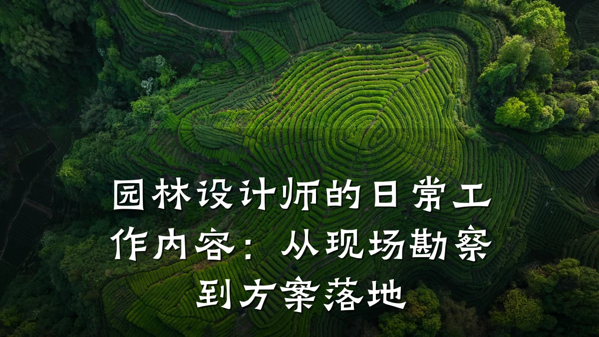 园林设计师的日常工作内容:从现场勘察到方案落地
