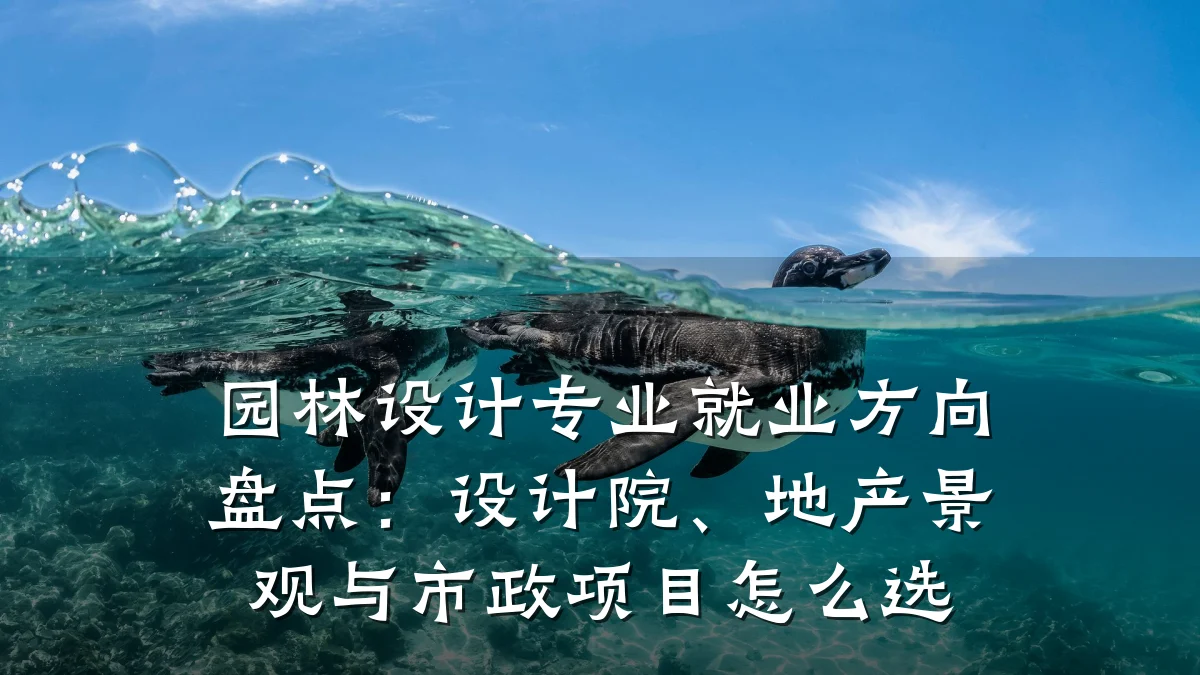 园林设计专业就业方向盘点:设计院、地产景观与市政项目怎么选