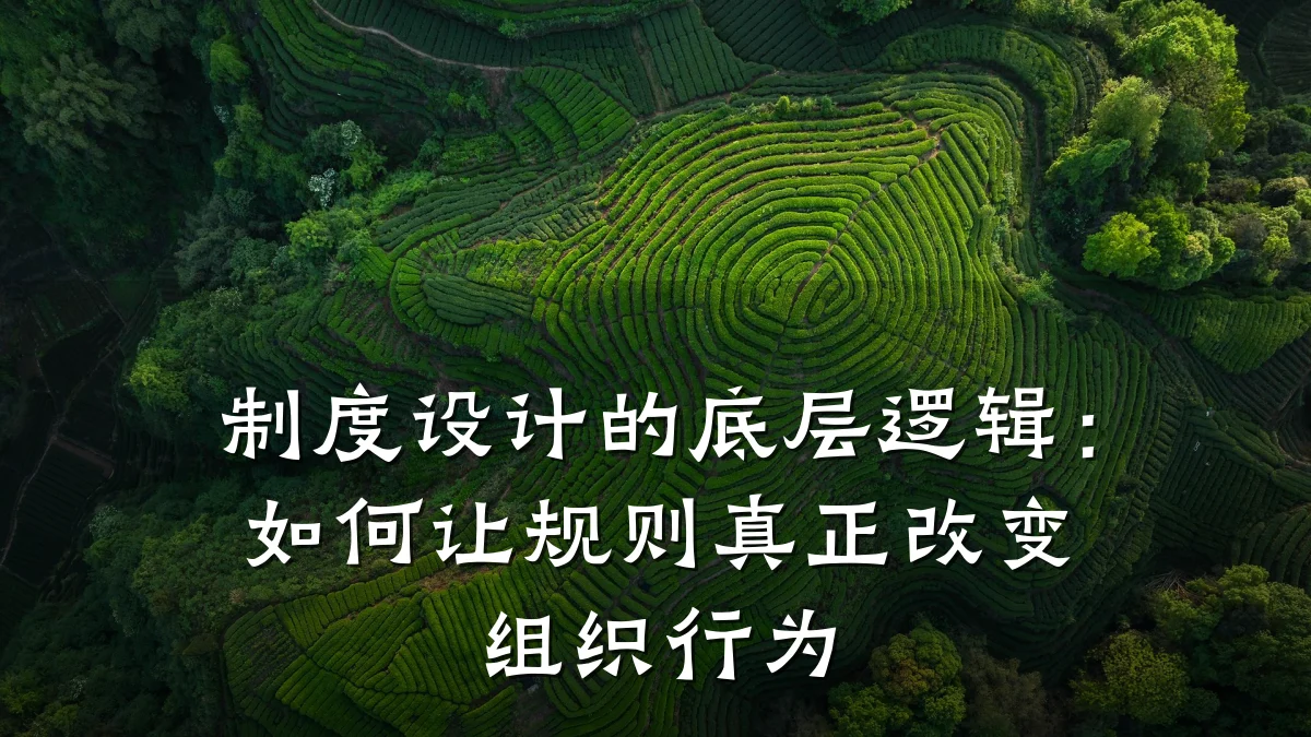 制度设计的底层逻辑:如何让规则真正改变组织行为