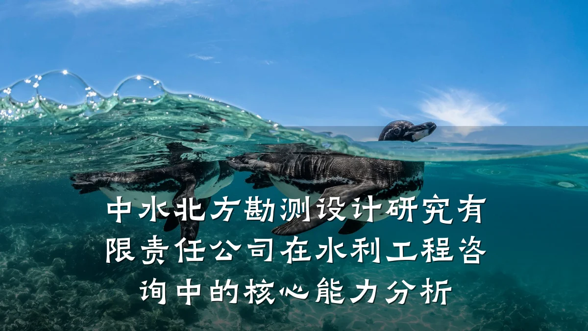 中水北方勘测设计研究有限责任公司在水利工程咨询中的核心能力分析