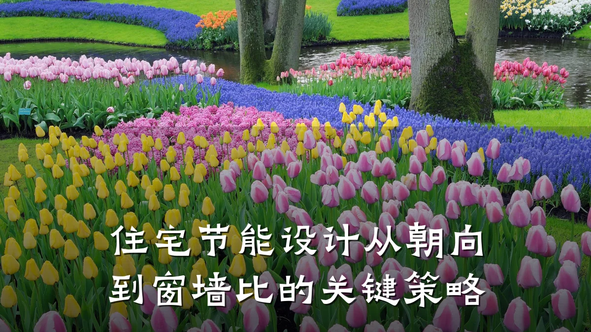 住宅节能设计从朝向到窗墙比的关键策略