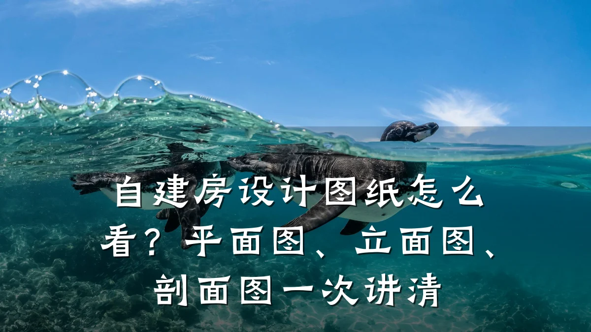 自建房设计图纸怎么看?平面图、立面图、剖面图一次讲清