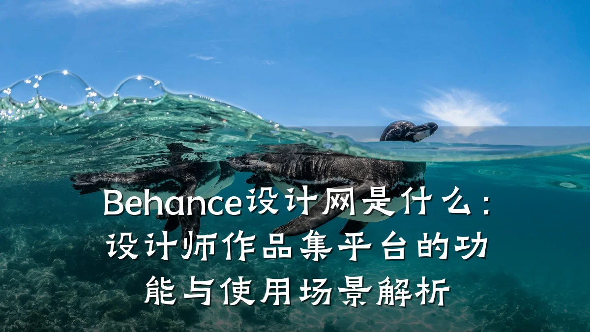 Behance设计网是什么：设计师作品集平台的功能与使用场景解析