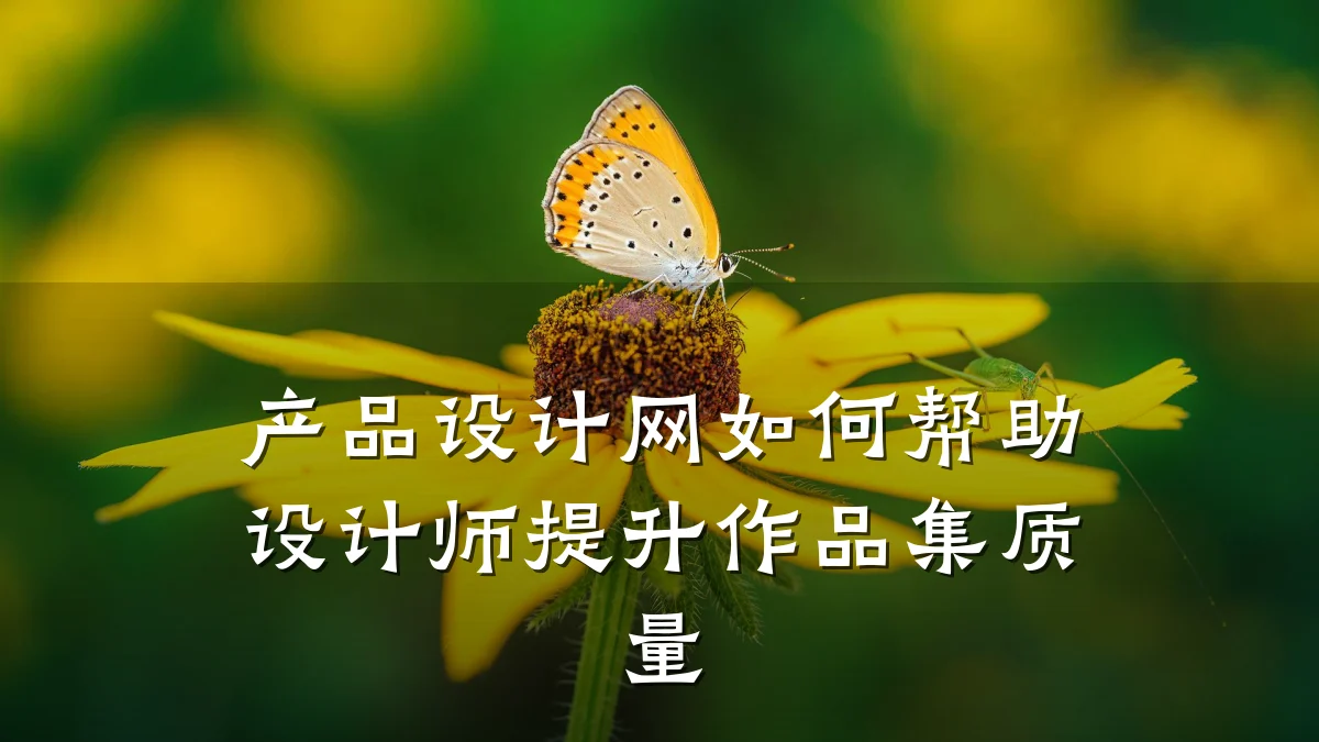 产品设计网如何帮助设计师提升作品集质量