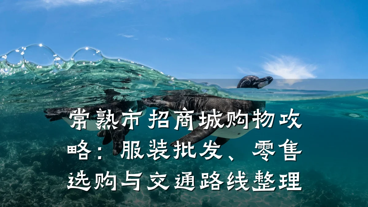 常熟市招商城购物攻略：服装批发、零售选购与交通路线整理