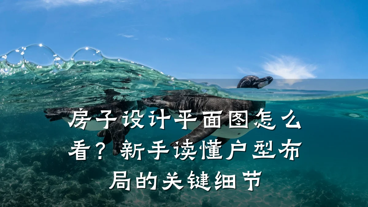 房子设计平面图怎么看?新手读懂户型布局的关键细节