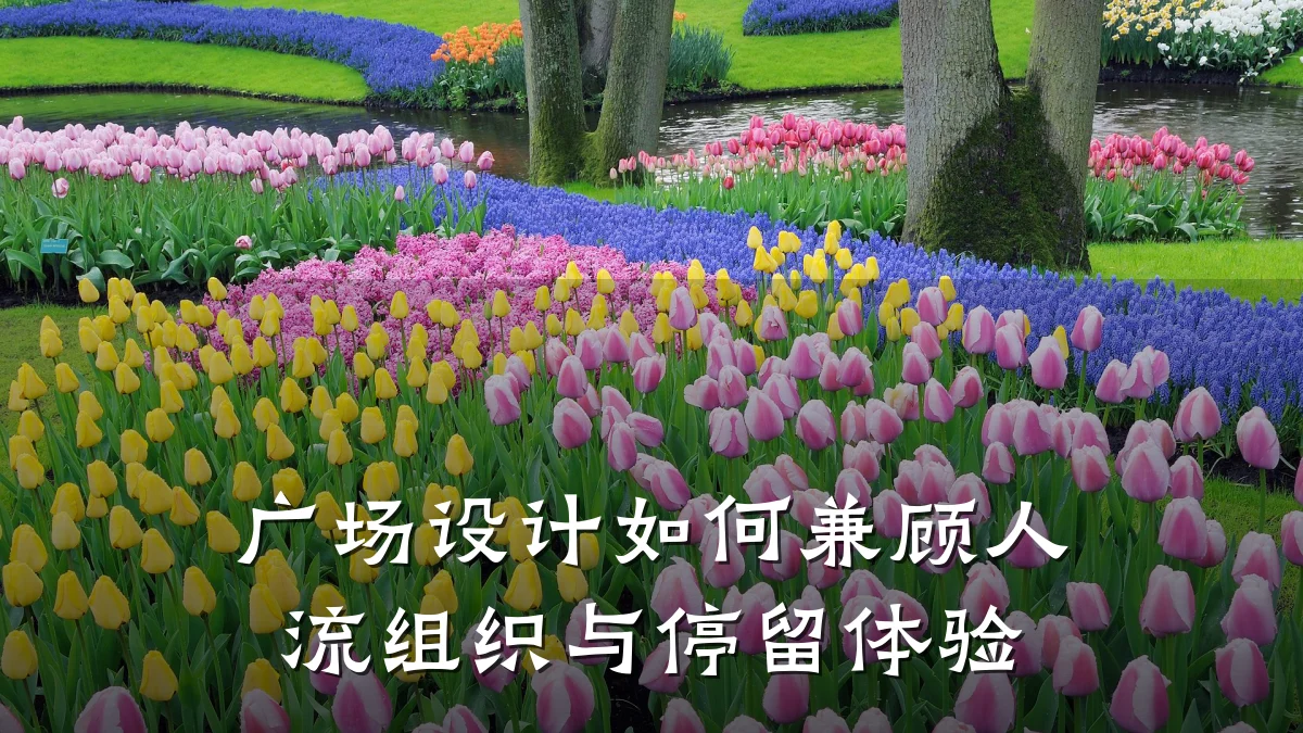 广场设计如何兼顾人流组织与停留体验