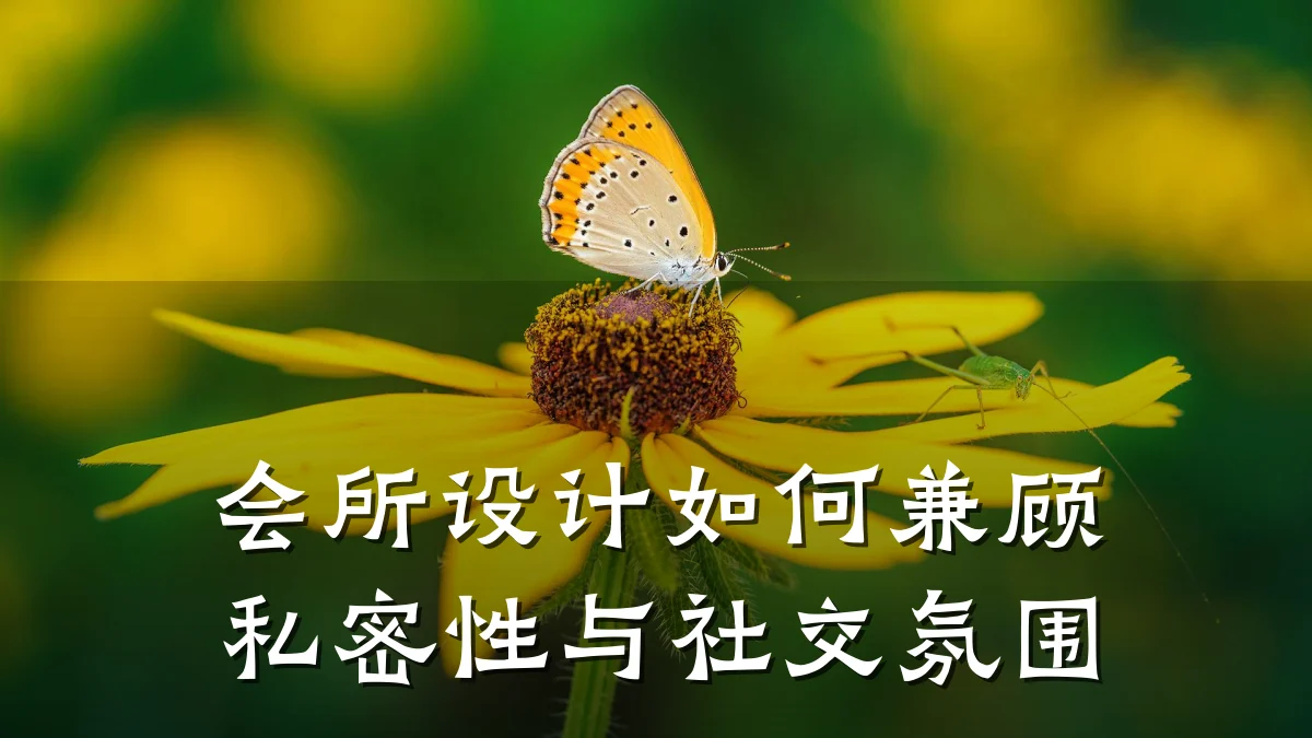 会所设计如何兼顾私密性与社交氛围