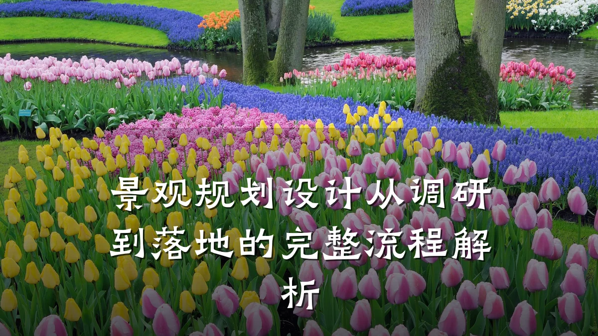 景观规划设计从调研到落地的完整流程解析