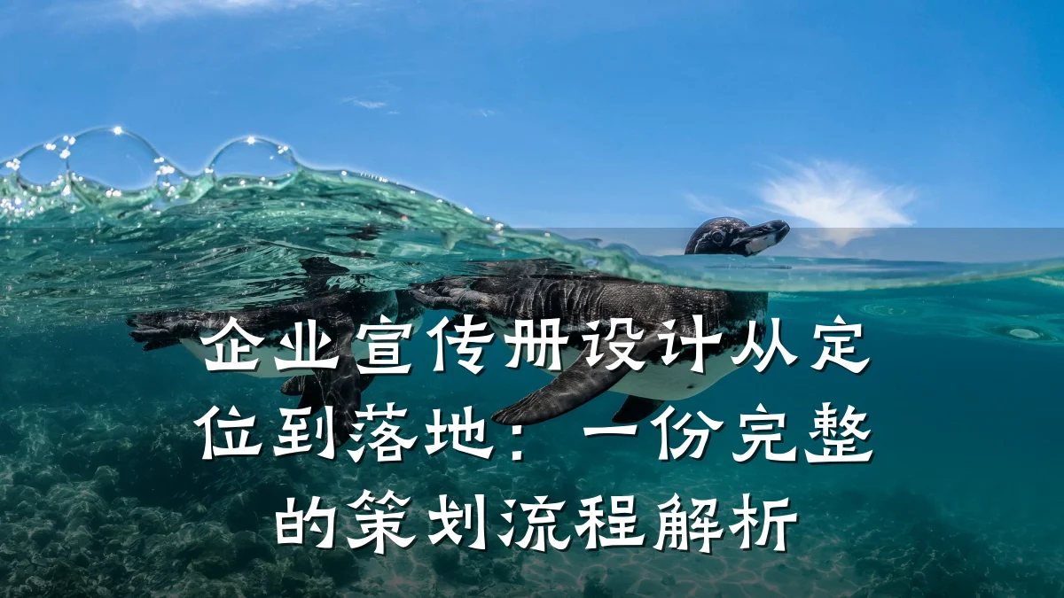 企业宣传册设计从定位到落地:一份完整的策划流程解析