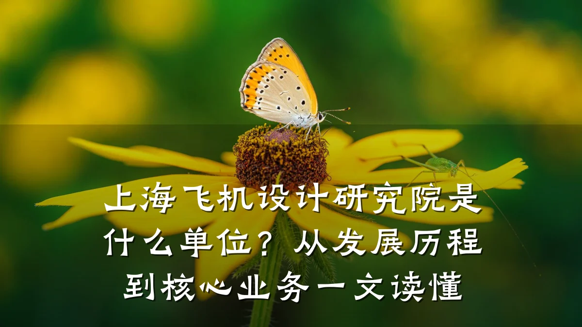 上海飞机设计研究院是什么单位?从发展历程到核心业务一文读懂