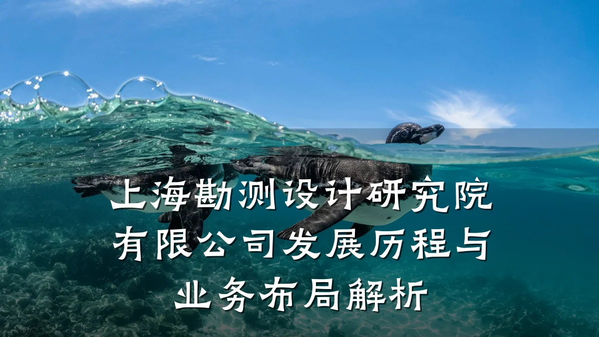 上海勘测设计研究院有限公司发展历程与业务布局解析