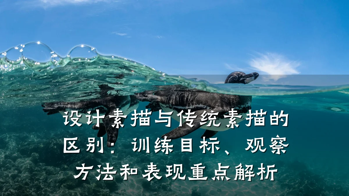设计素描与传统素描的区别:训练目标、观察方法和表现重点解析