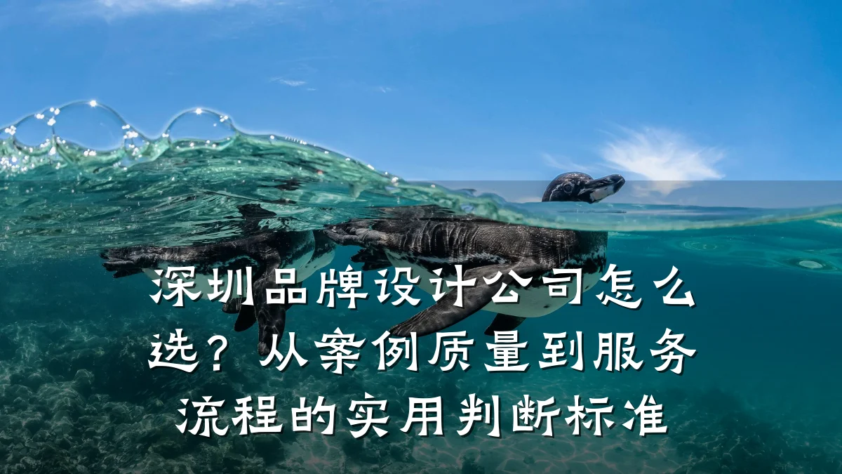 深圳品牌设计公司怎么选?从案例质量到服务流程的实用判断标准