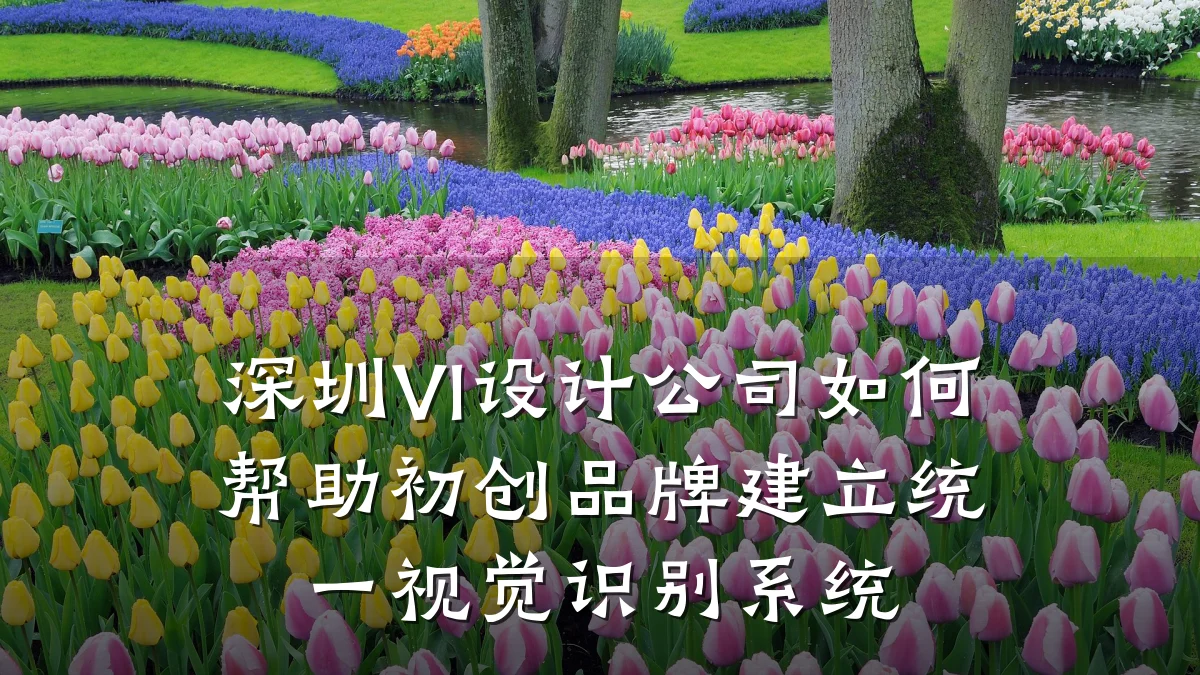 深圳VI设计公司如何帮助初创品牌建立统一视觉识别系统