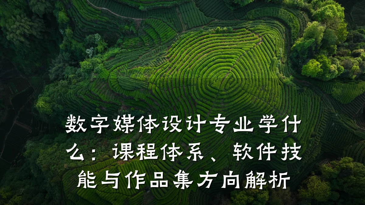 数字媒体设计专业学什么:课程体系、软件技能与作品集方向解析
