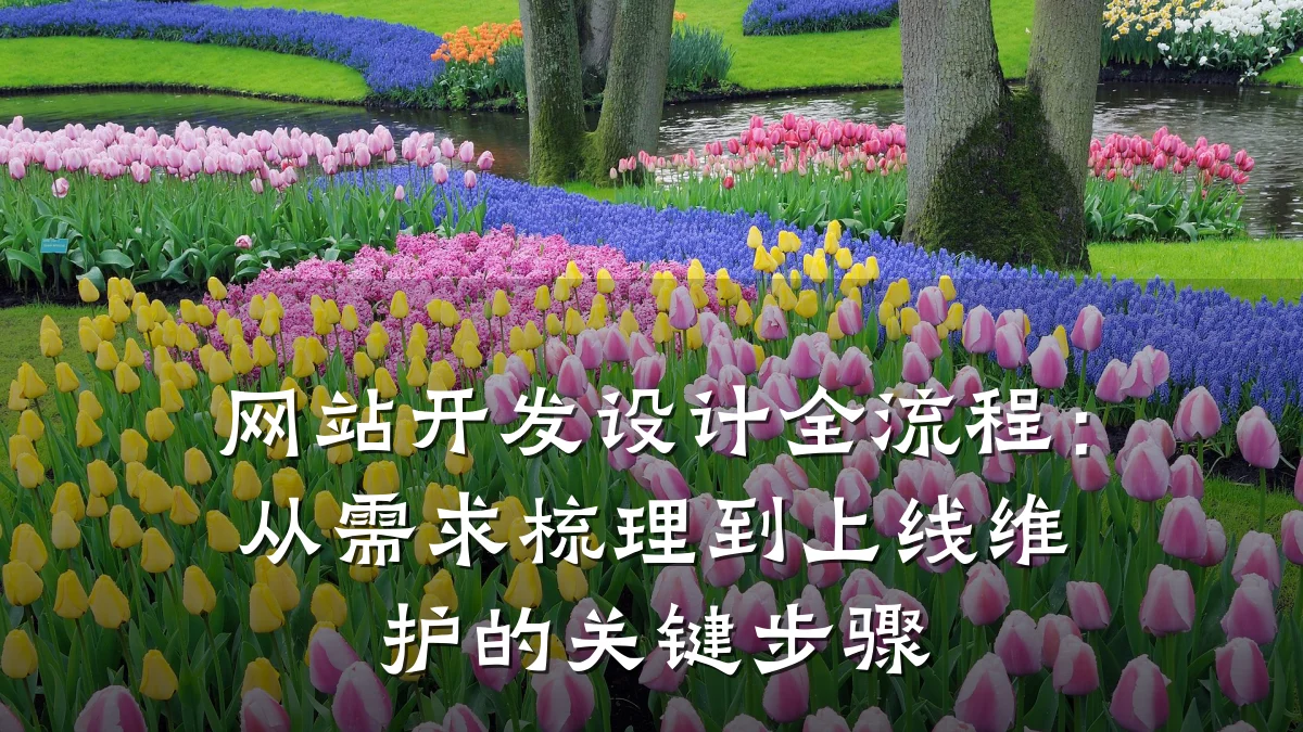 网站开发设计全流程:从需求梳理到上线维护的关键步骤