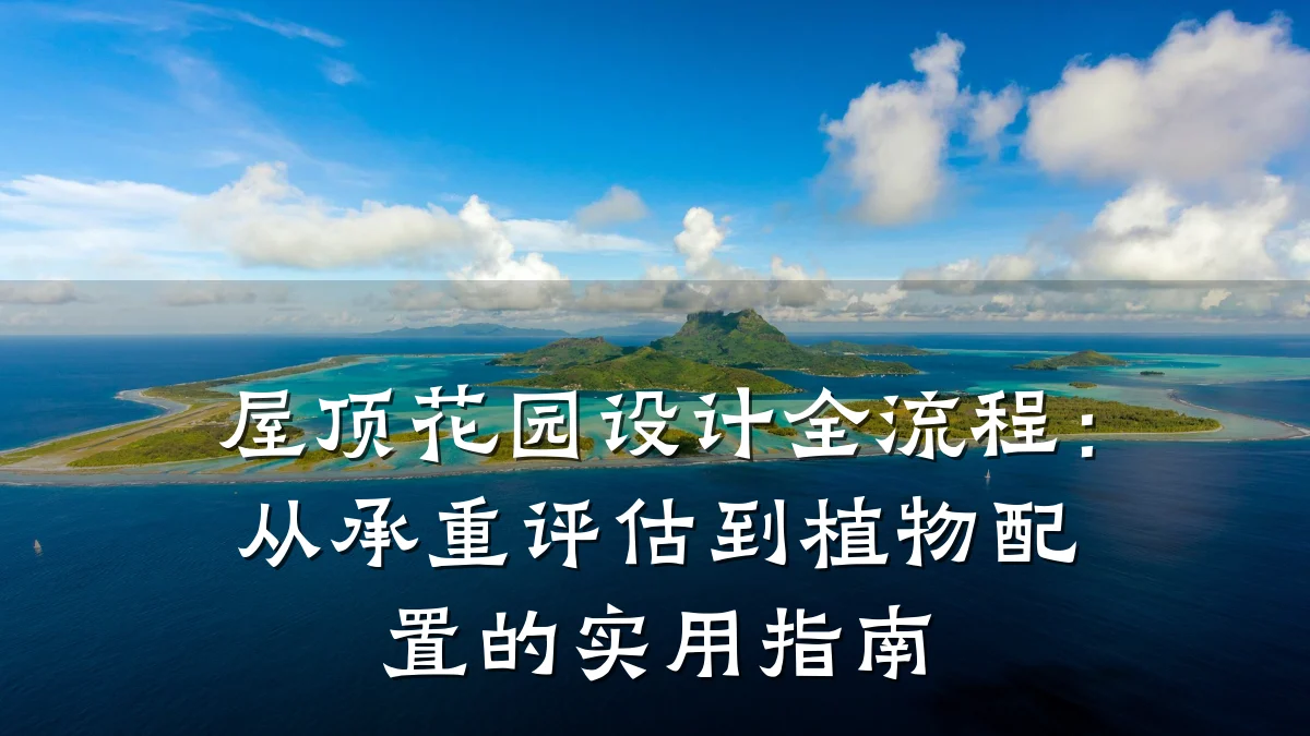 屋顶花园设计全流程:从承重评估到植物配置的实用指南