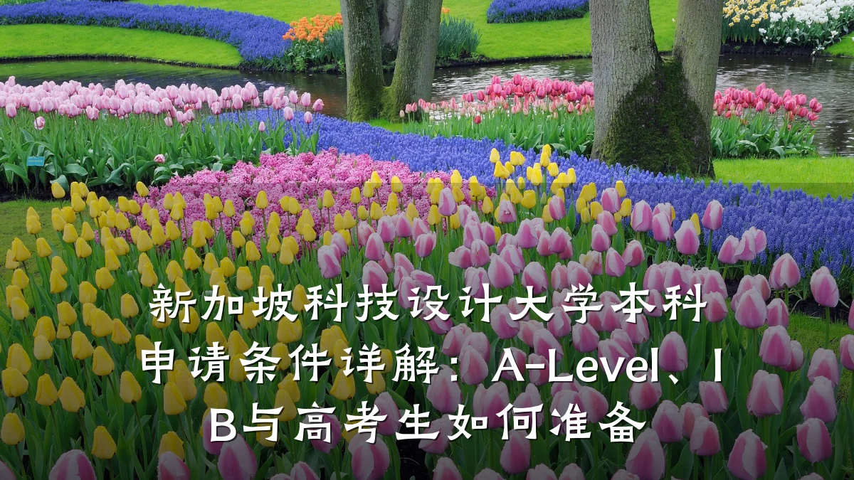 新加坡科技设计大学本科申请条件详解:A-Level、IB与高考生如何准备