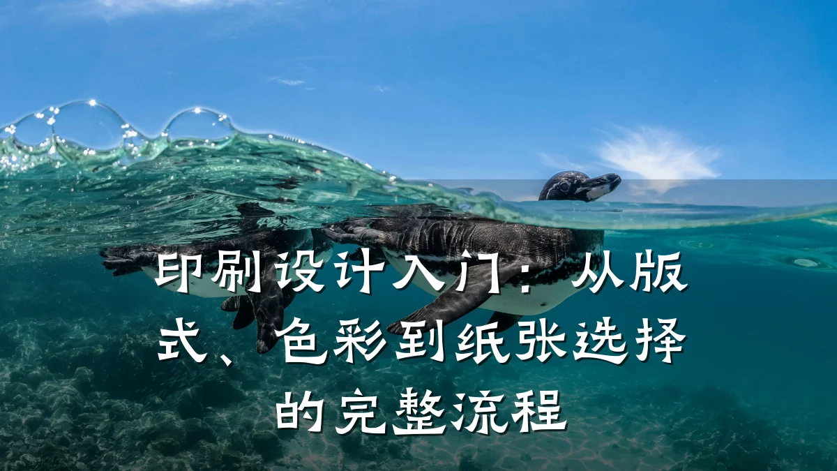 印刷设计入门:从版式、色彩到纸张选择的完整流程