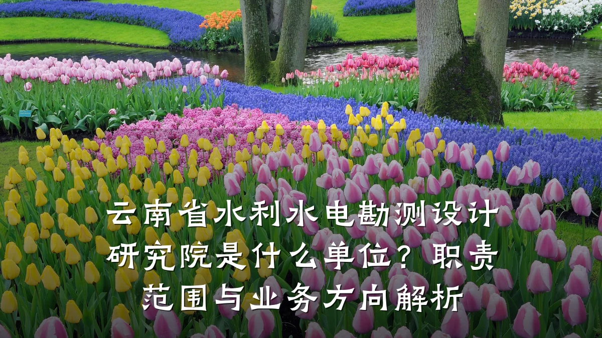 云南省水利水电勘测设计研究院是什么单位?职责范围与业务方向解析