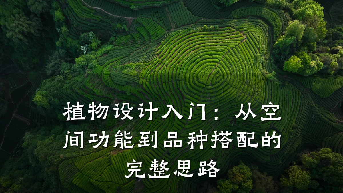 植物设计入门:从空间功能到品种搭配的完整思路