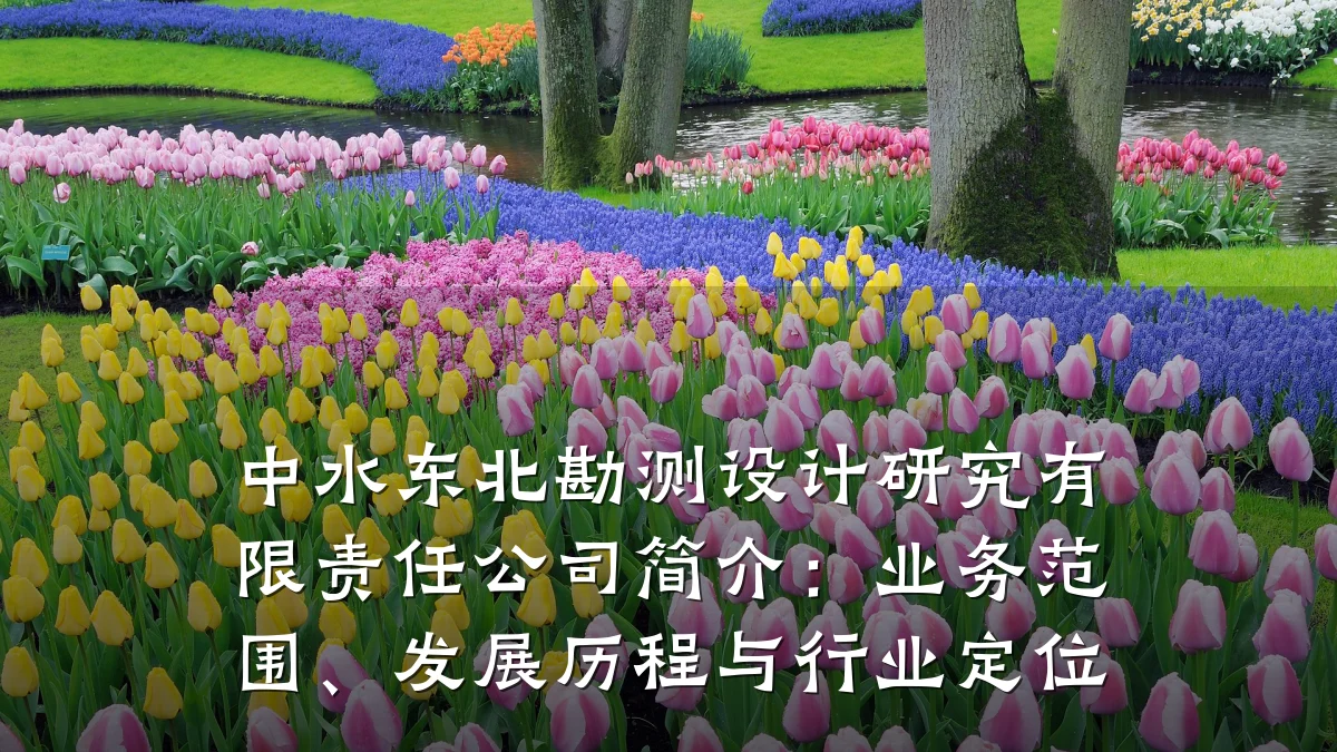 中水东北勘测设计研究有限责任公司简介:业务范围、发展历程与行业定位