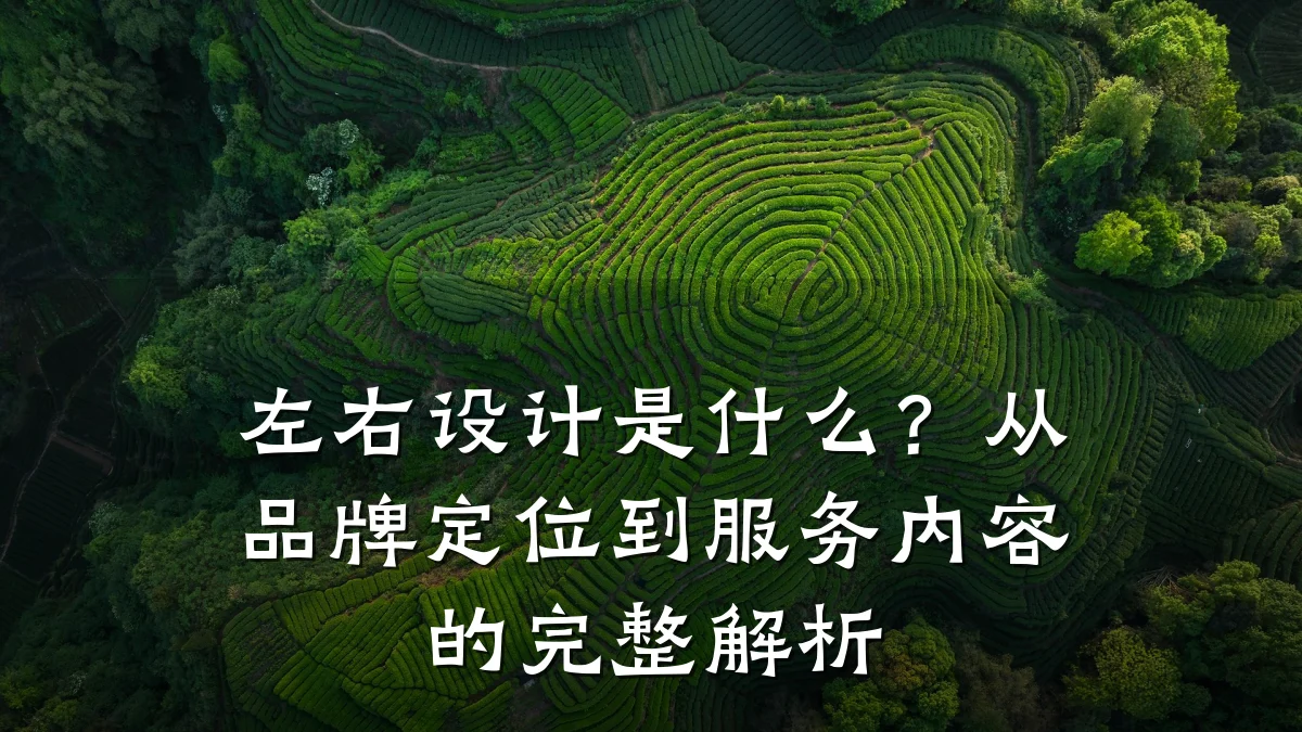 左右设计是什么?从品牌定位到服务内容的完整解析