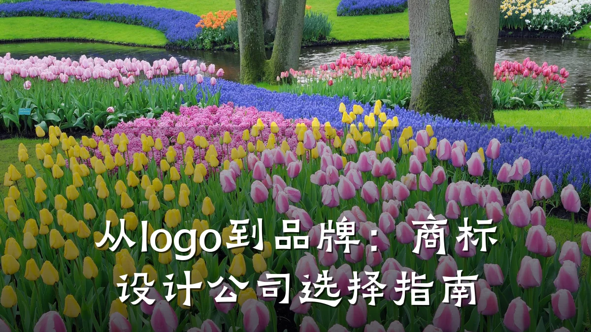 从logo到品牌：商标设计公司选择指南