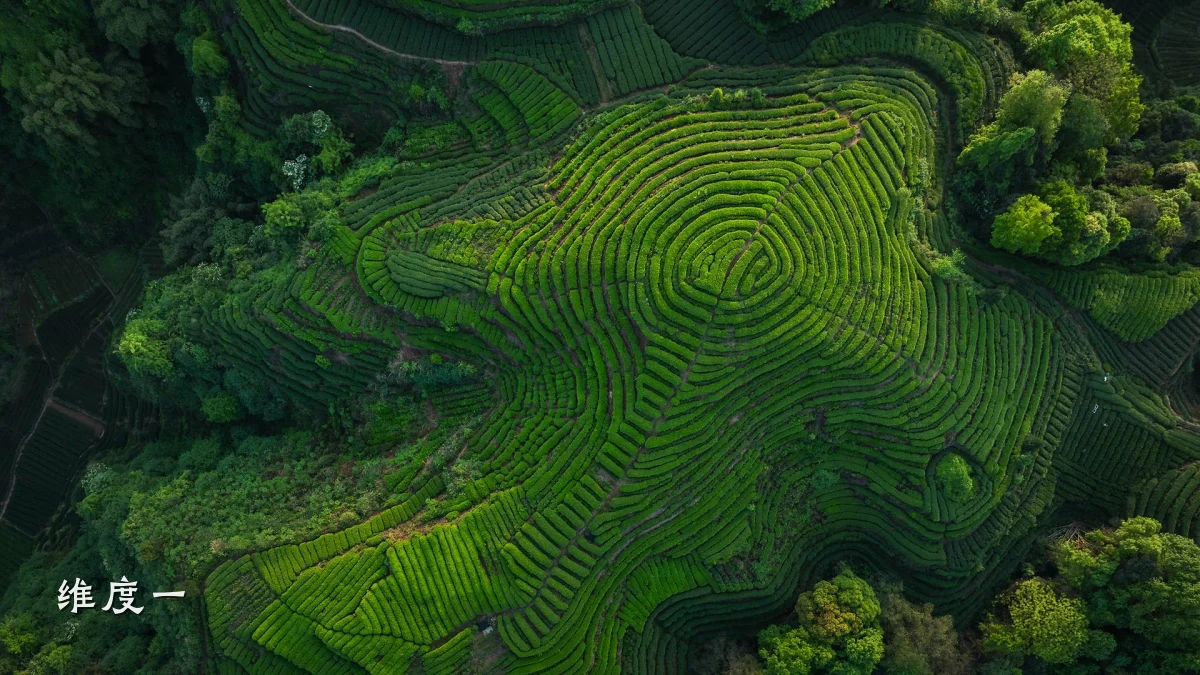 维度一