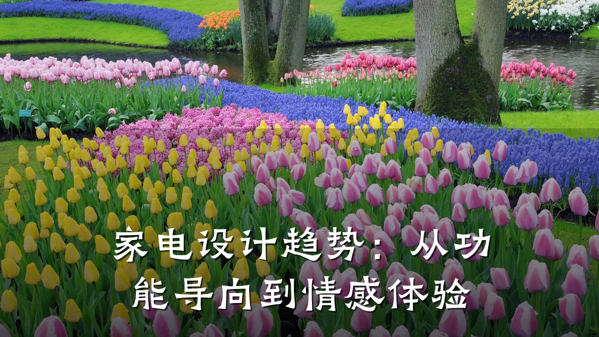 家电设计趋势:从功能导向到情感体验