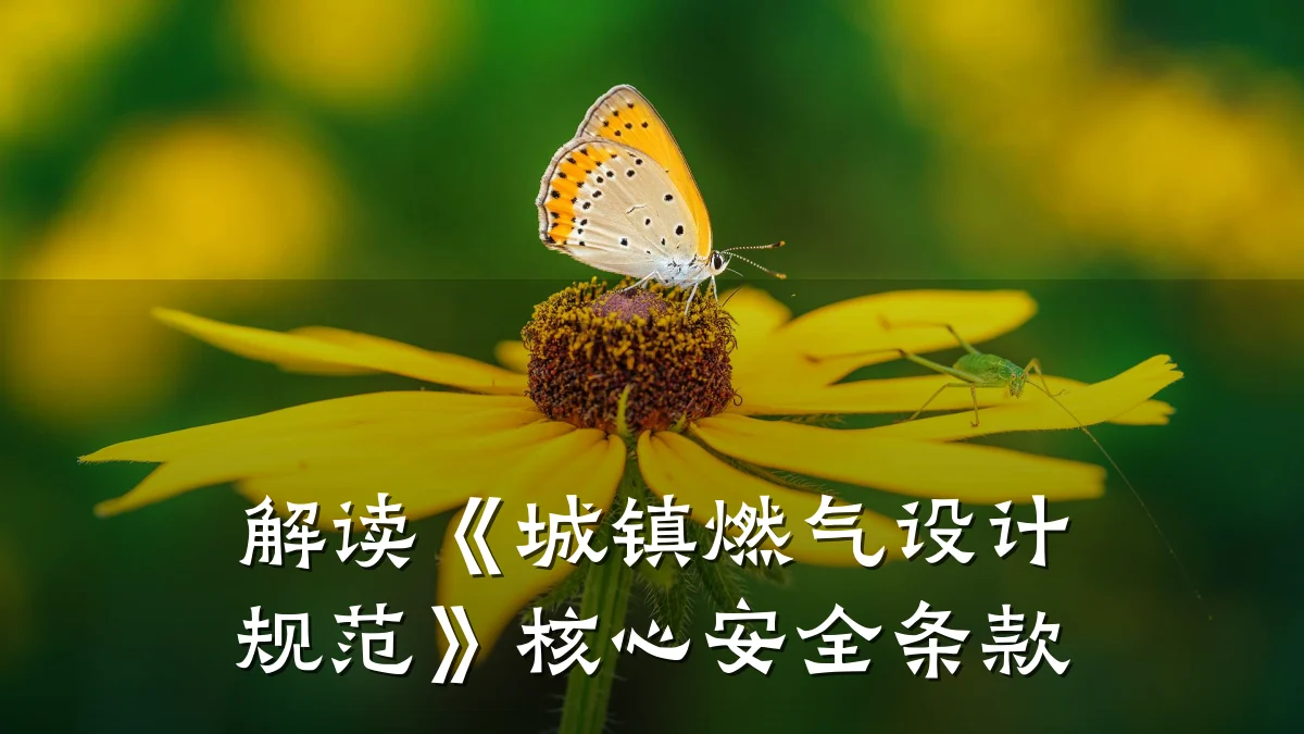 解读《城镇燃气设计规范》核心安全条款