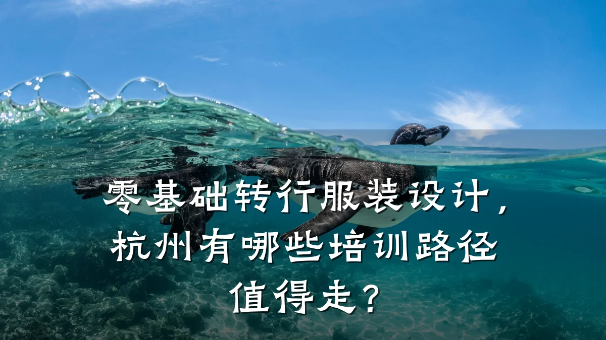 零基础转行服装设计,杭州有哪些培训路径值得走?