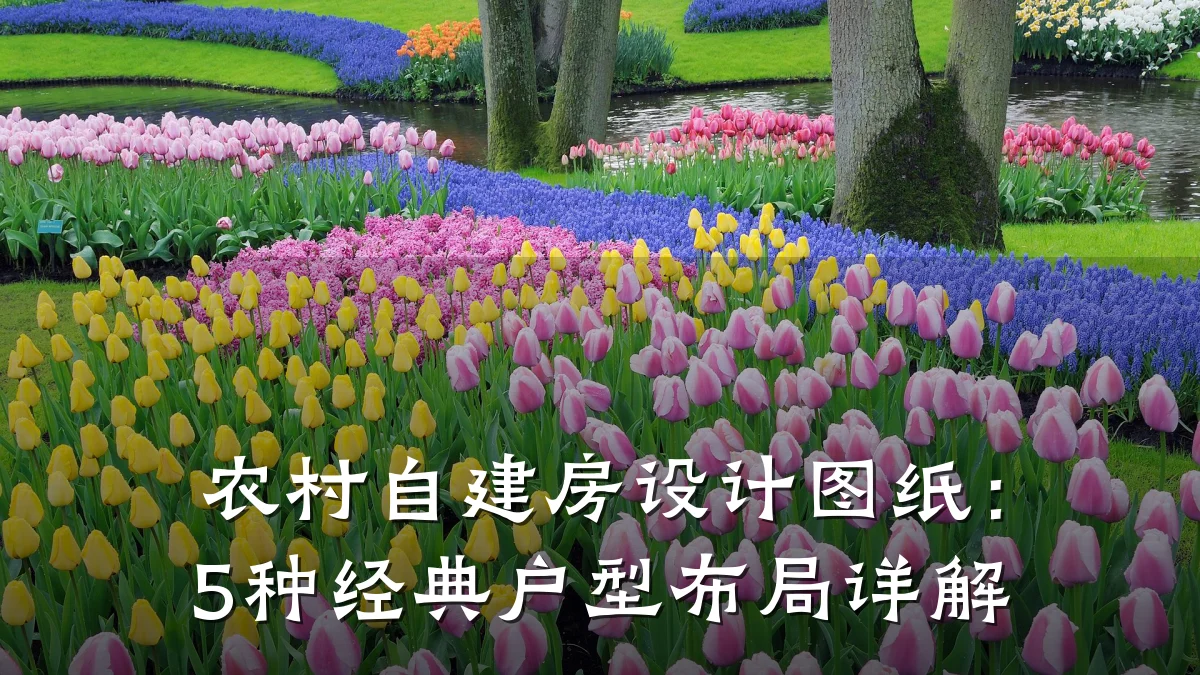 农村自建房设计图纸:5种经典户型布局详解