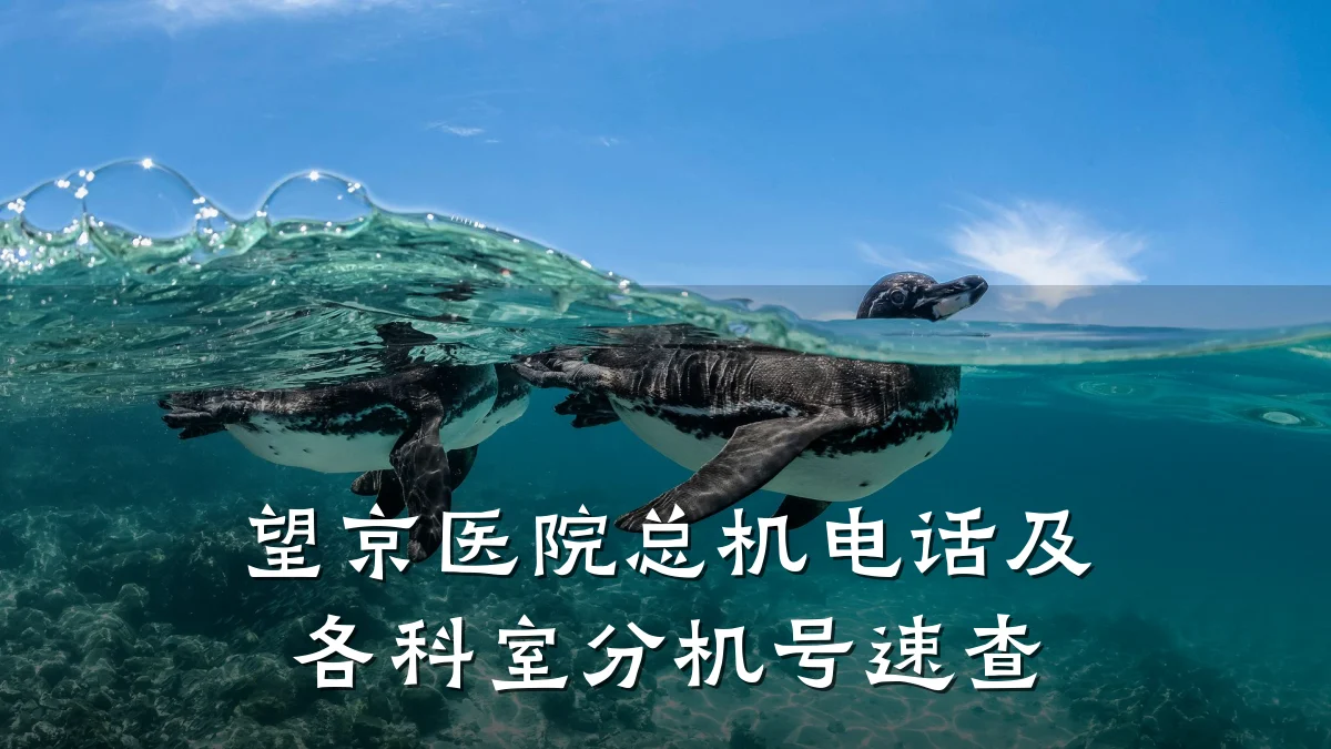 望京医院总机电话及各科室分机号速查