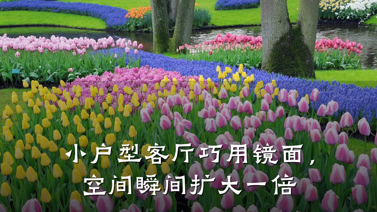 小户型客厅巧用镜面,空间瞬间扩大一倍