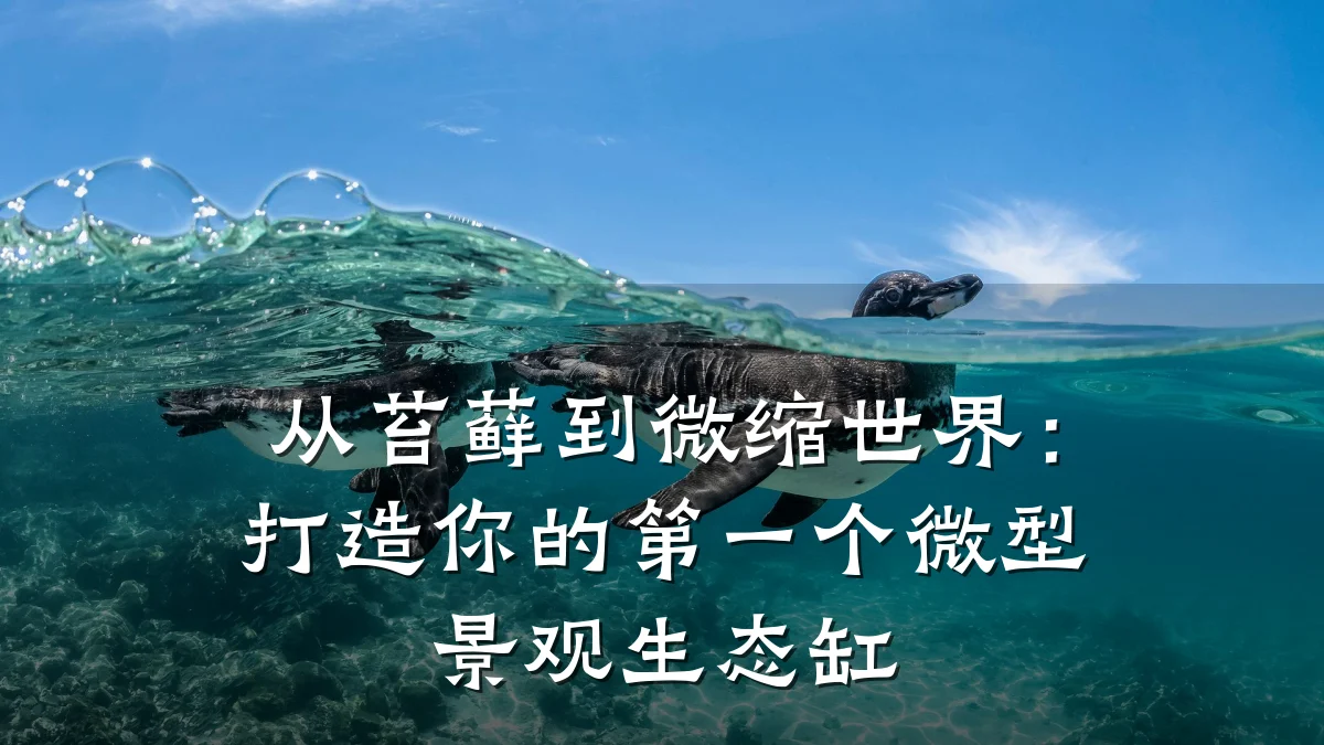 从苔藓到微缩世界:打造你的第一个微型景观生态缸