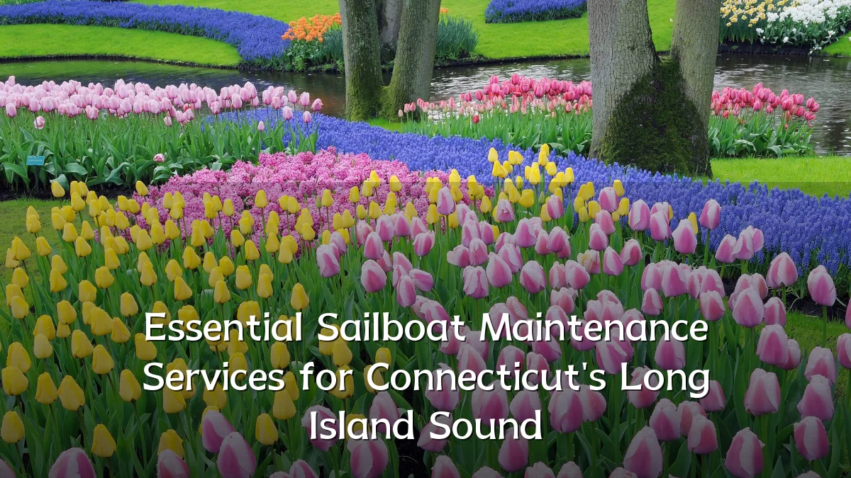 Essential Sailboat Maintenance Services for Connecticut's Long Island Sound