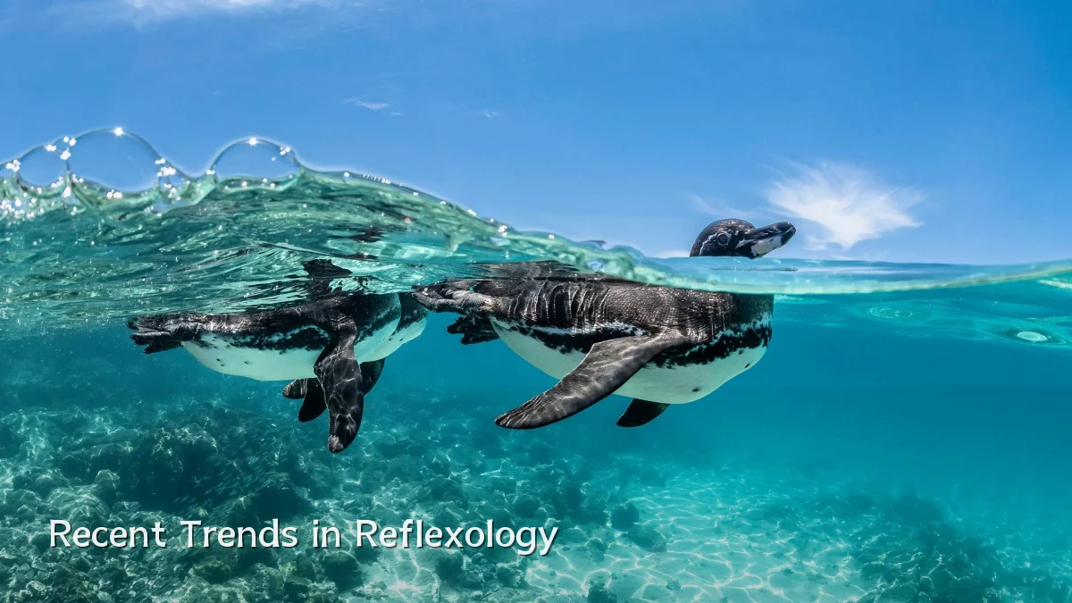 Recent Trends in Reflexology