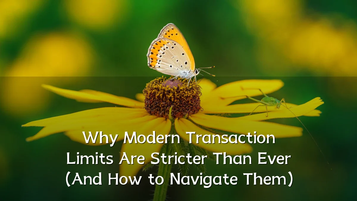 Why Modern Transaction Limits Are Stricter Than Ever (And How to Navigate Them)
