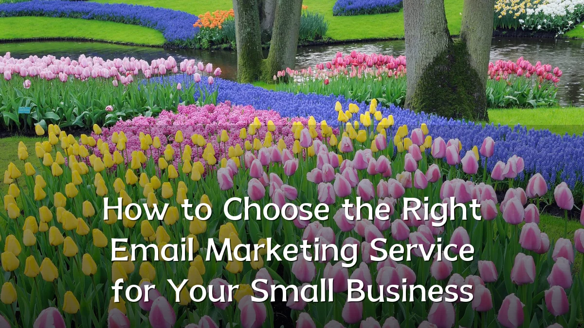 How to Choose the Right Email Marketing Service for Your Small Business
