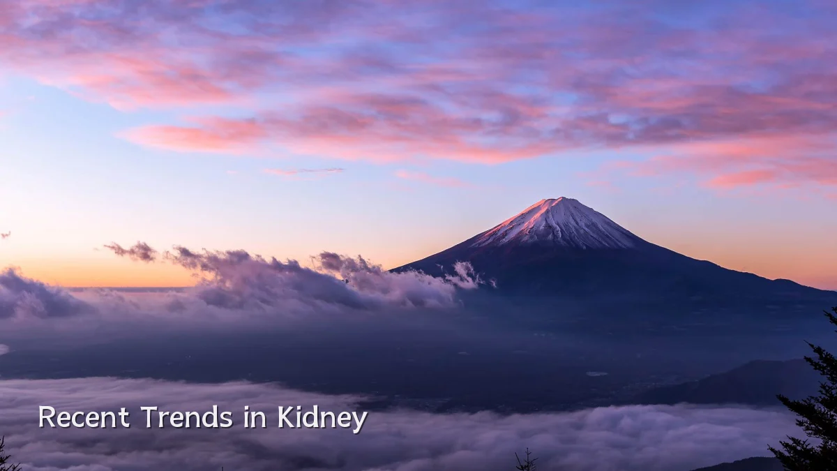 Recent Trends in Kidney