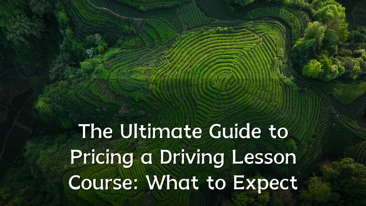 The Ultimate Guide to Pricing a Driving Lesson Course: What to Expect